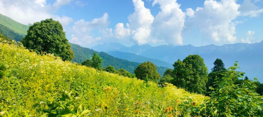 Krasnaya_Polyana_trekking